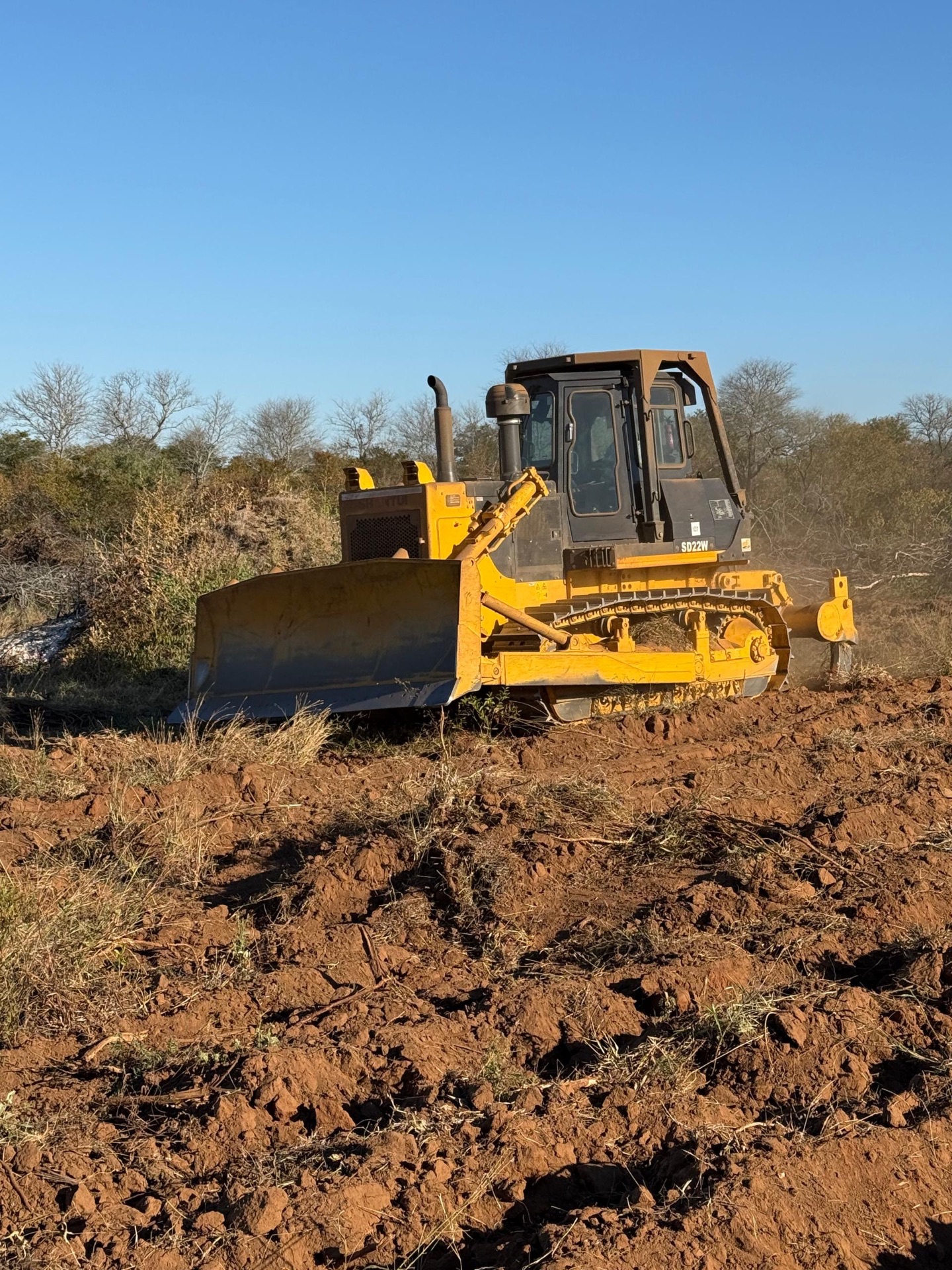 Bush Clearing