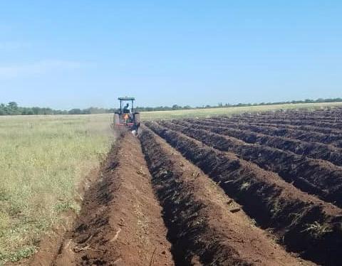 Tractor forming ridges in a field of dark soil